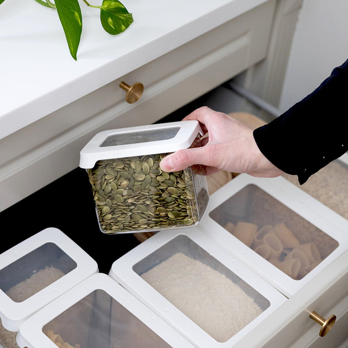 Opbevaringsbøtte Gastromax opbevaringsbøtte til tørvarer 1,6 liter aestetisk ele living